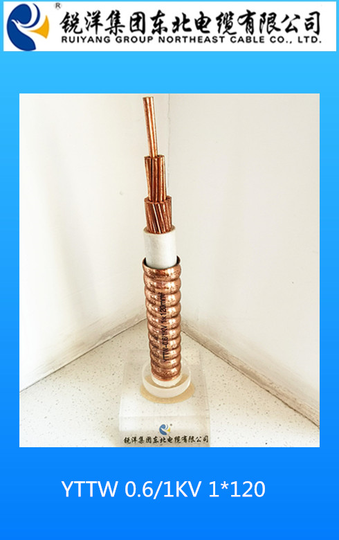YTTW 0.6/1KV 1*120