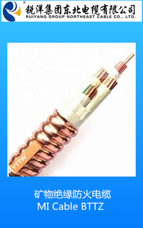 矿物绝缘防火电缆 MI Cable BTTZ