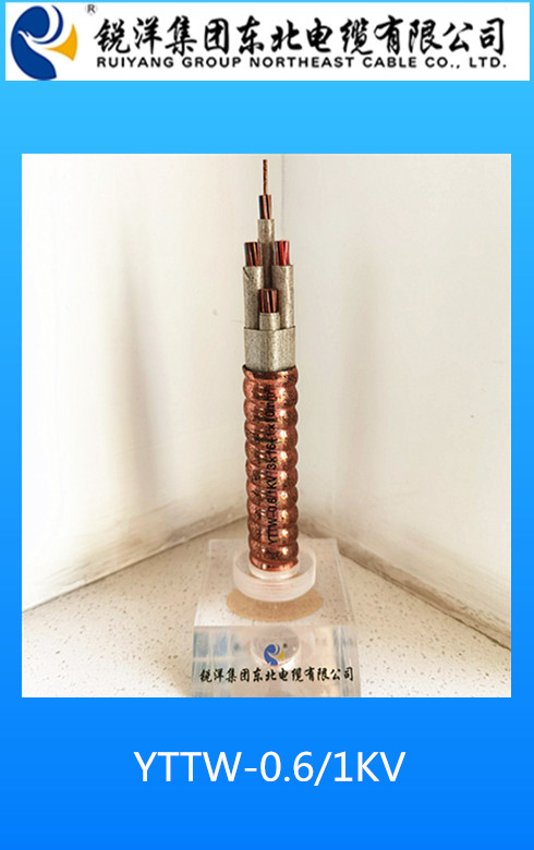 YTTW-0.6/1KV